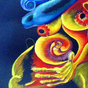 7 emociones | Germinar