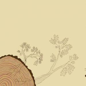 2mismomundi-shop-libro-mujeres-bellota-maternidad-04-1024x576